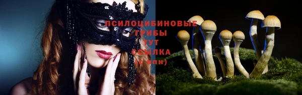 СК Алексеевка