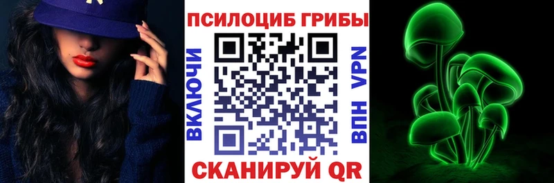 Псилоцибиновые грибы Psilocybe  блэк спрут сайт  Евпатория  дарнет шоп 